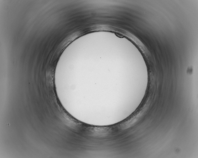 X0000090740857200708172006