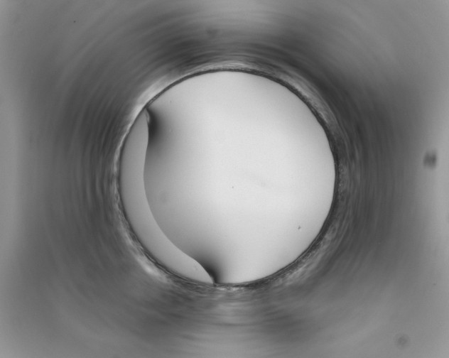 X0000090740858200708172006