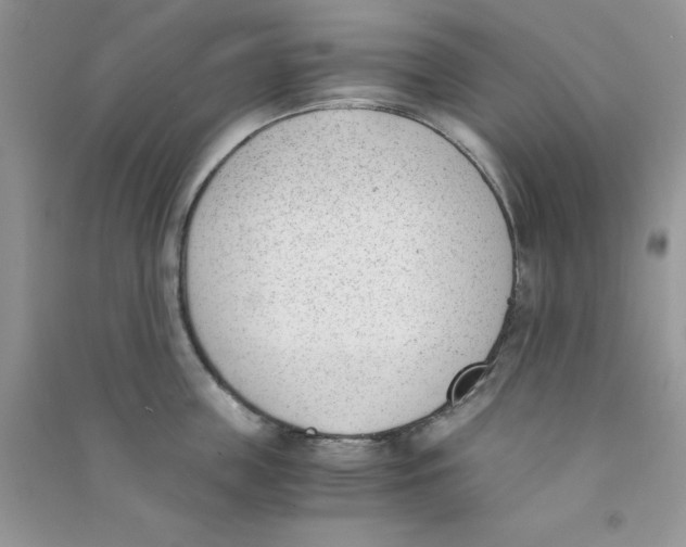 X0000090740859200708172006