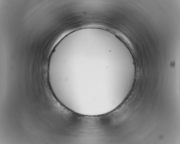 X0000090740860200708172006