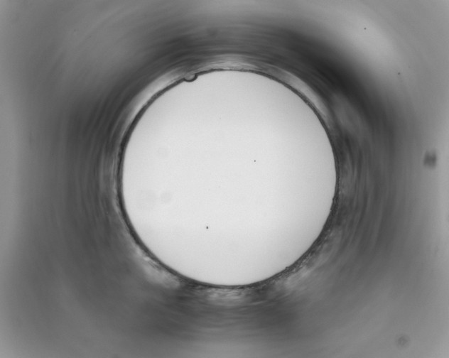 X0000090740861200708172006