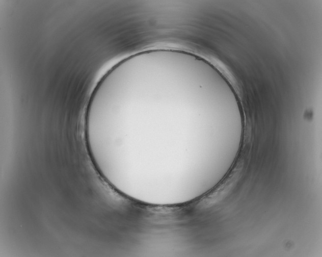 X0000090740862200708172006