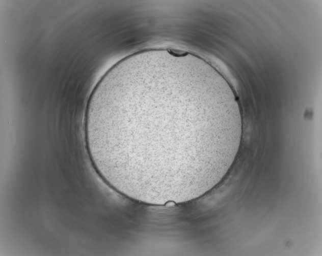 X0000090740863200708172006