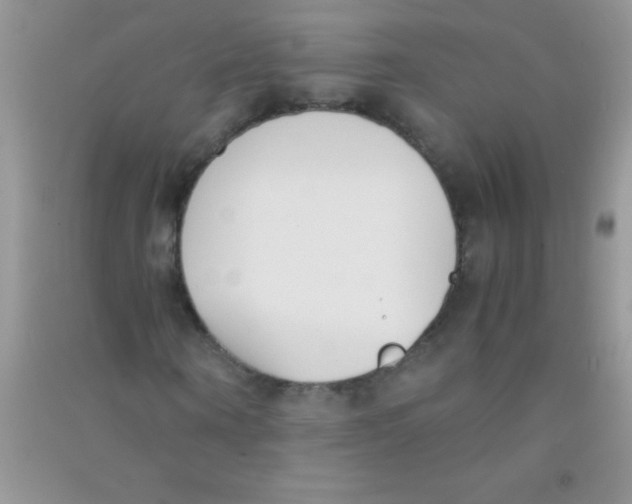 X0000090740866200708172005