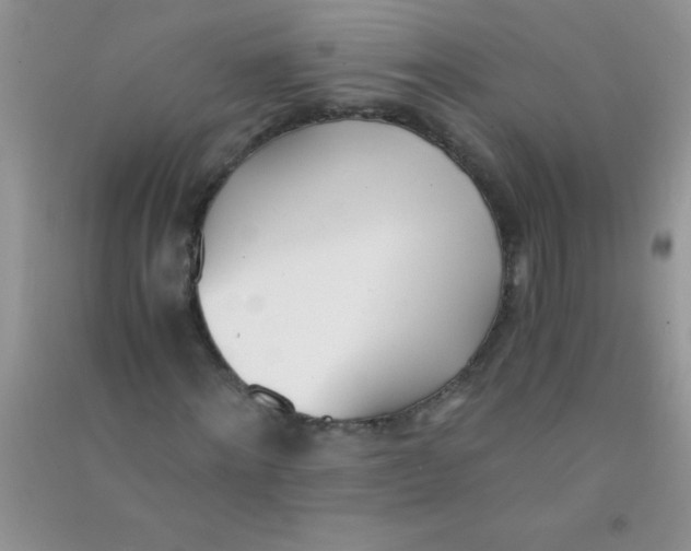 X0000090740868200708172005