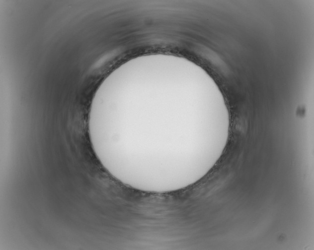 X0000090740869200708172005