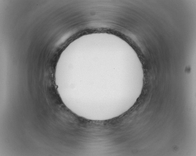 X0000090740871200708172005