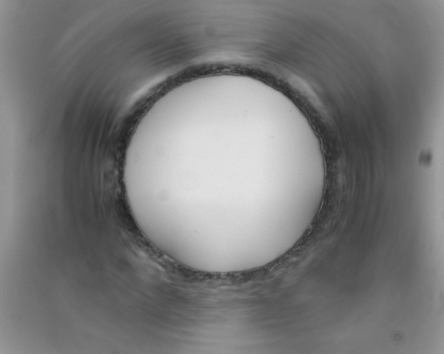 X0000090740872200708172005