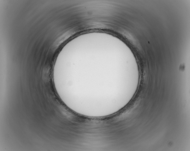 X0000090740873200708172005