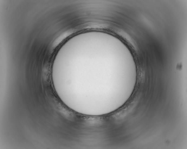 X0000090740874200708172005