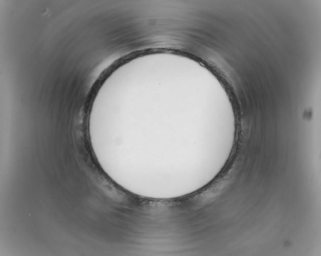 X0000090740875200708172005