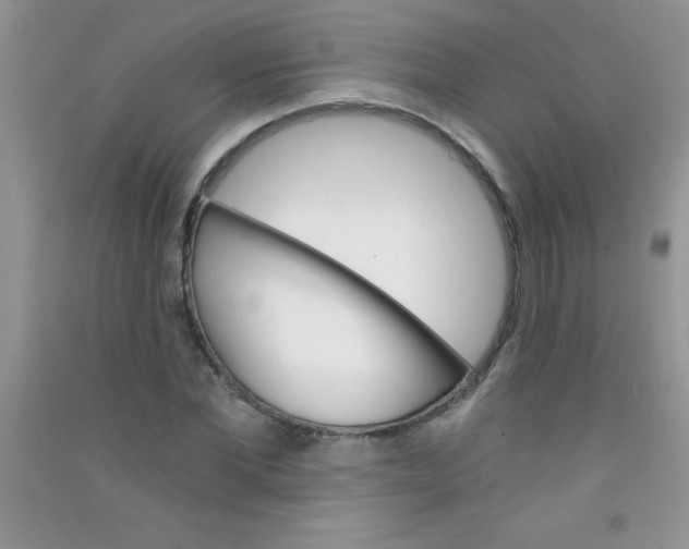 X0000090740877200708172005