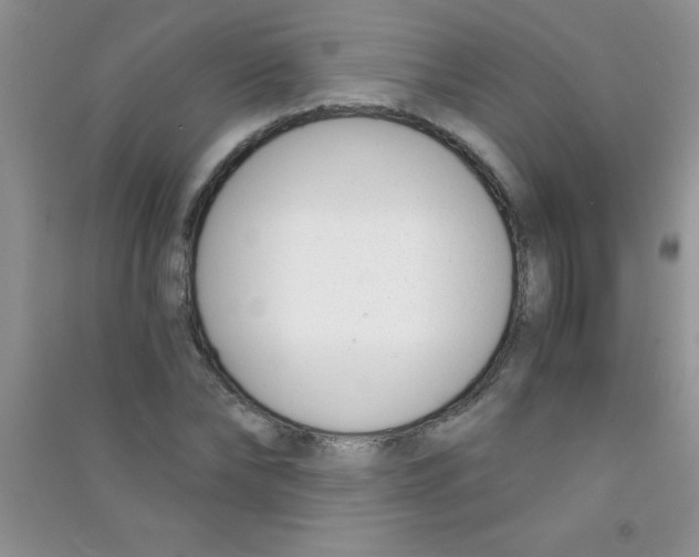 X0000090740878200708172005