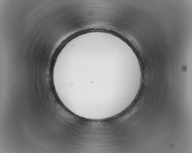 X0000090740880200708172005