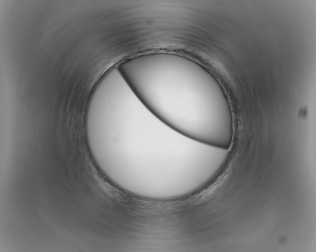 X0000090740881200708172005