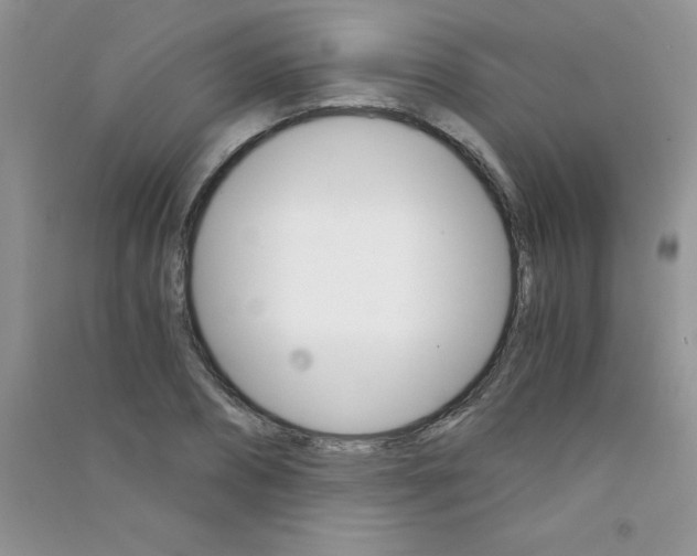 X0000090740882200708172005