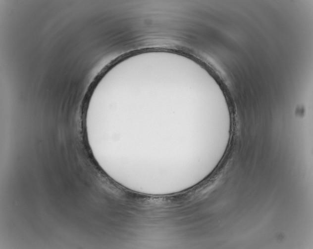 X0000090740883200708172005