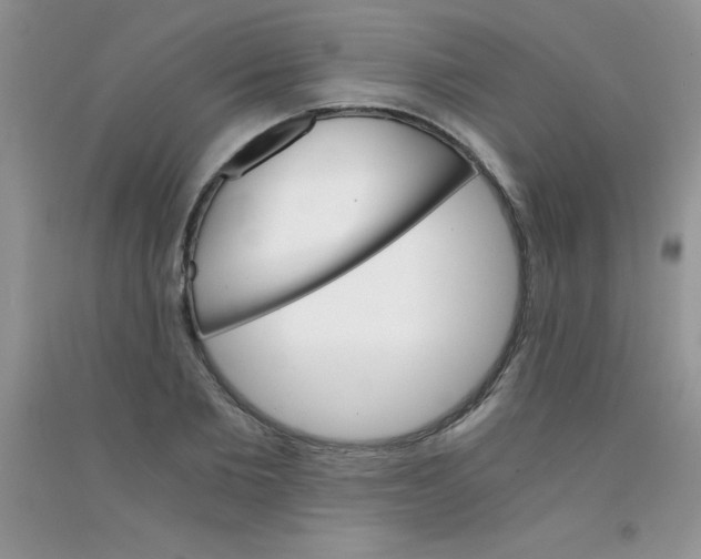 X0000090740885200708172005