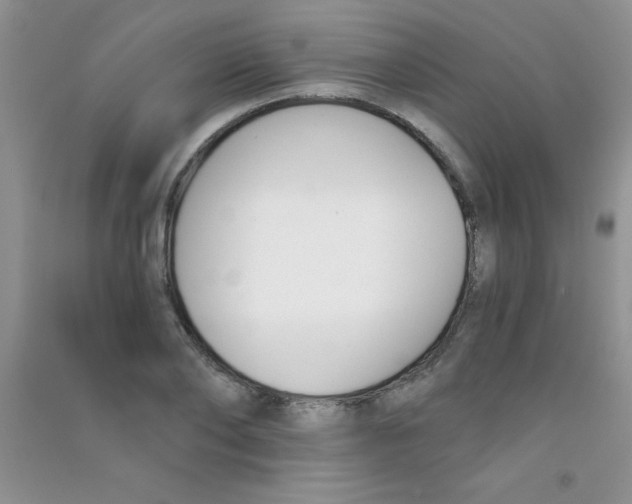 X0000090740886200708172005