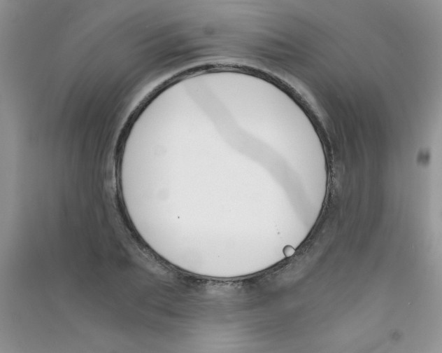 X0000090740887200708172005