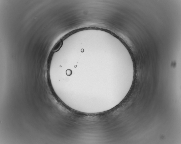 X0000090740888200708172005