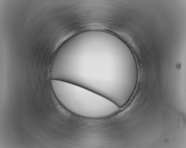 X0000090740889200708172005