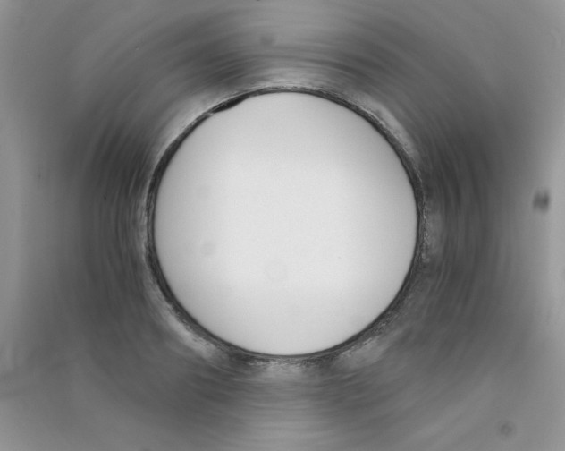 X0000090740890200708172005