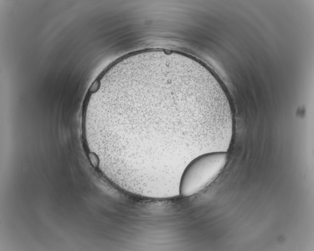 X0000090740891200708172005