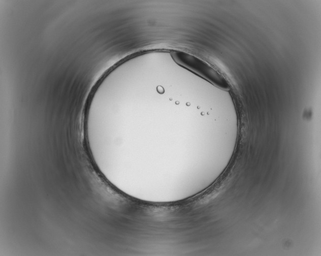 X0000090740892200708172005