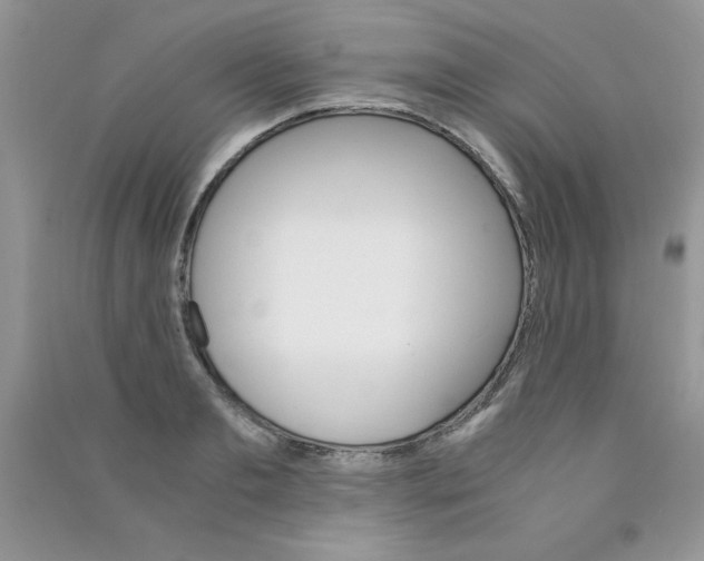 X0000090740893200708172005