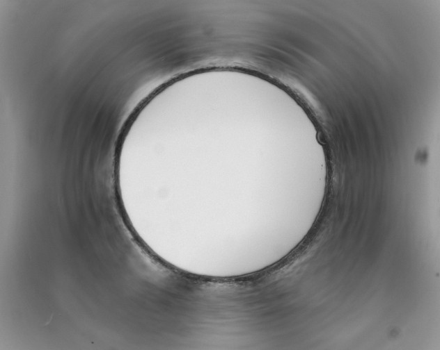 X0000090740894200708172005