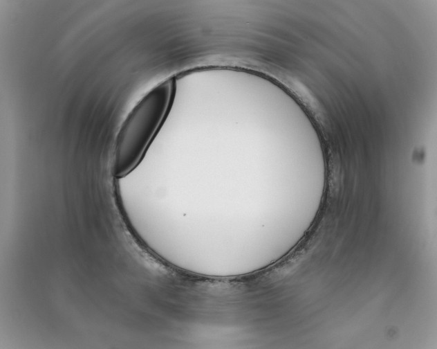 X0000090740896200708172005