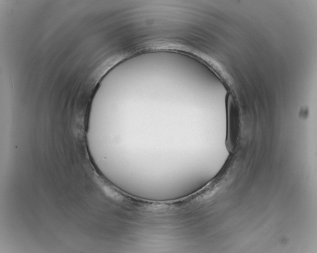 X0000090740897200708172005