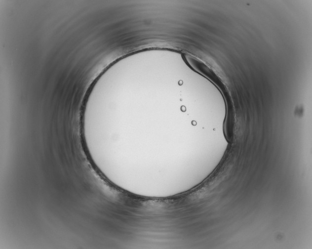 X0000090740898200708172005