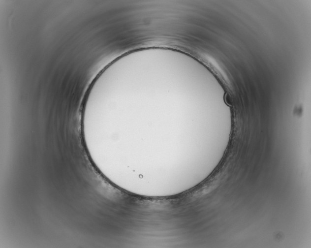 X0000090740900200708172005