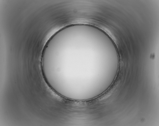 X0000090740901200708172005