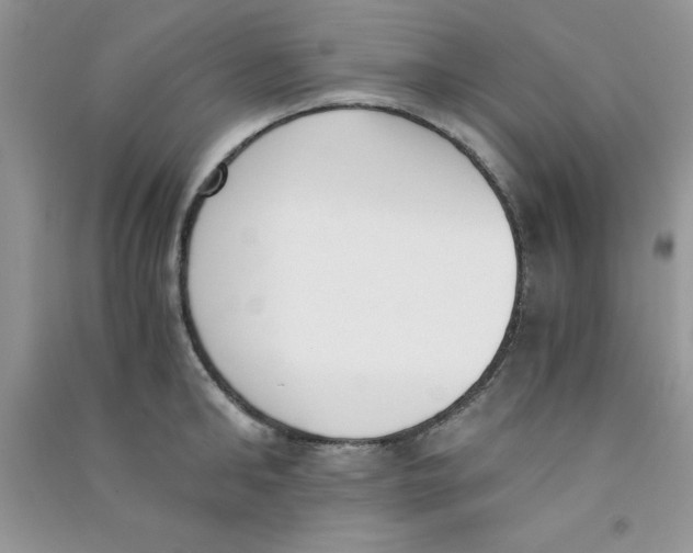 X0000090740902200708172005