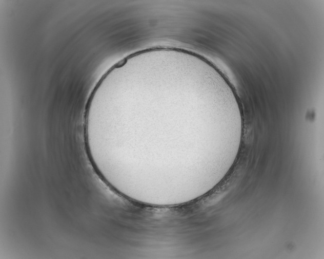 X0000090740903200708172005