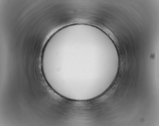 X0000090740904200708172005