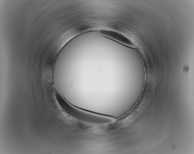 X0000090740905200708172005