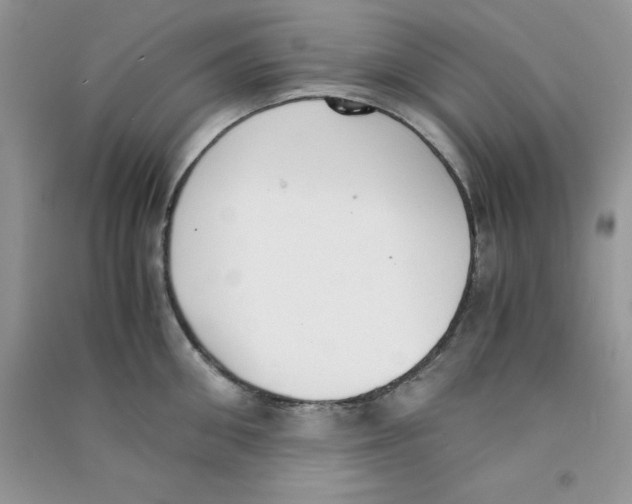 X0000090740906200708172005