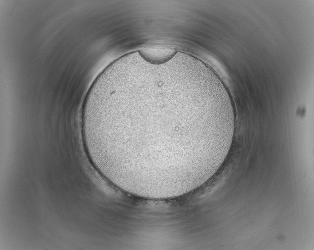 X0000090740907200708172005