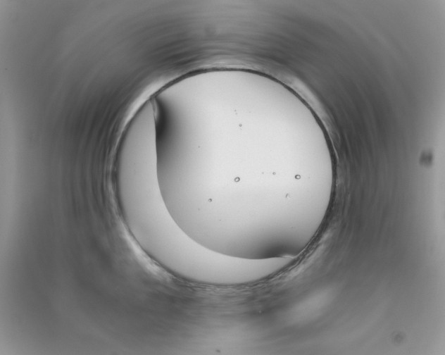 X0000090740909200708172005