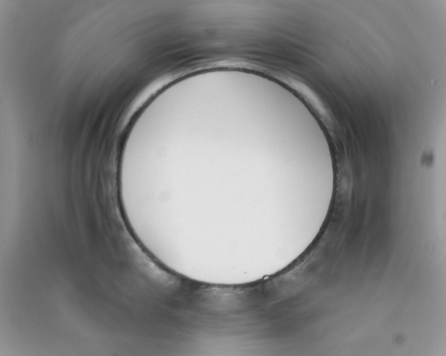 X0000090740910200708172005