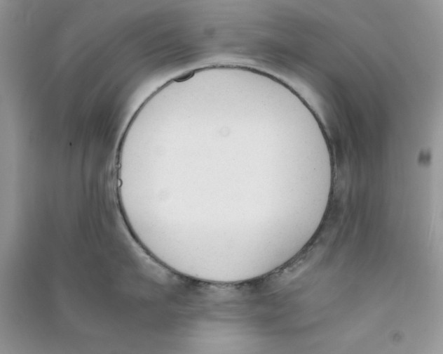 X0000090740911200708172005