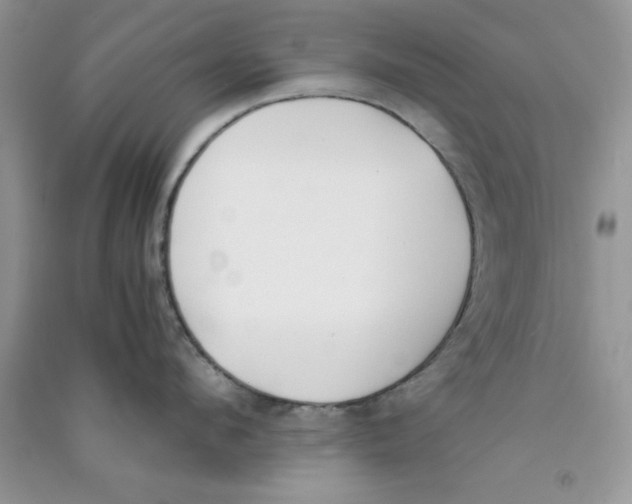 X0000090740912200708172005