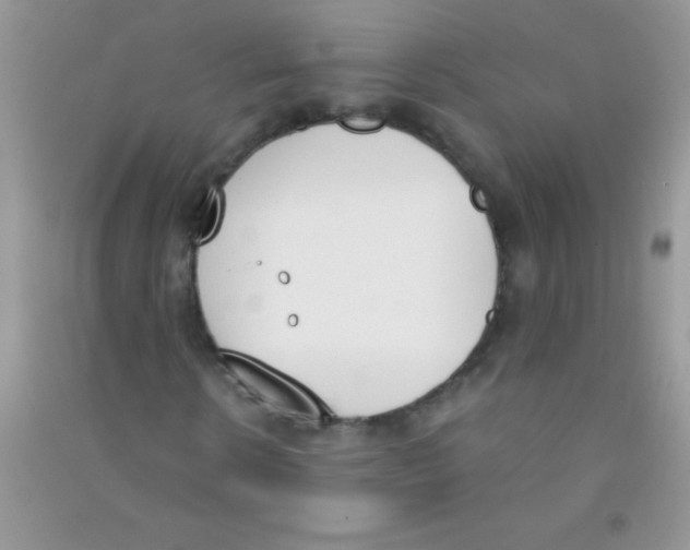 X0000090740914200708172004