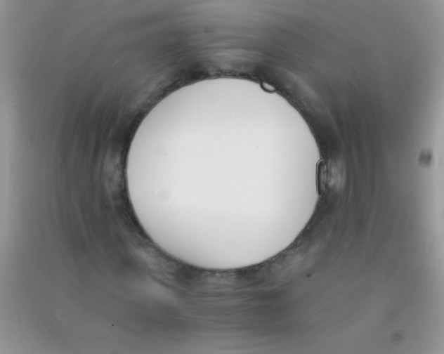 X0000090740915200708172004