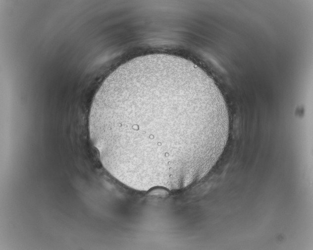 X0000090740917200708172004