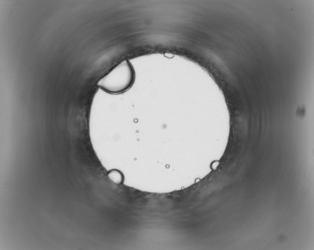 X0000090740918200708172004